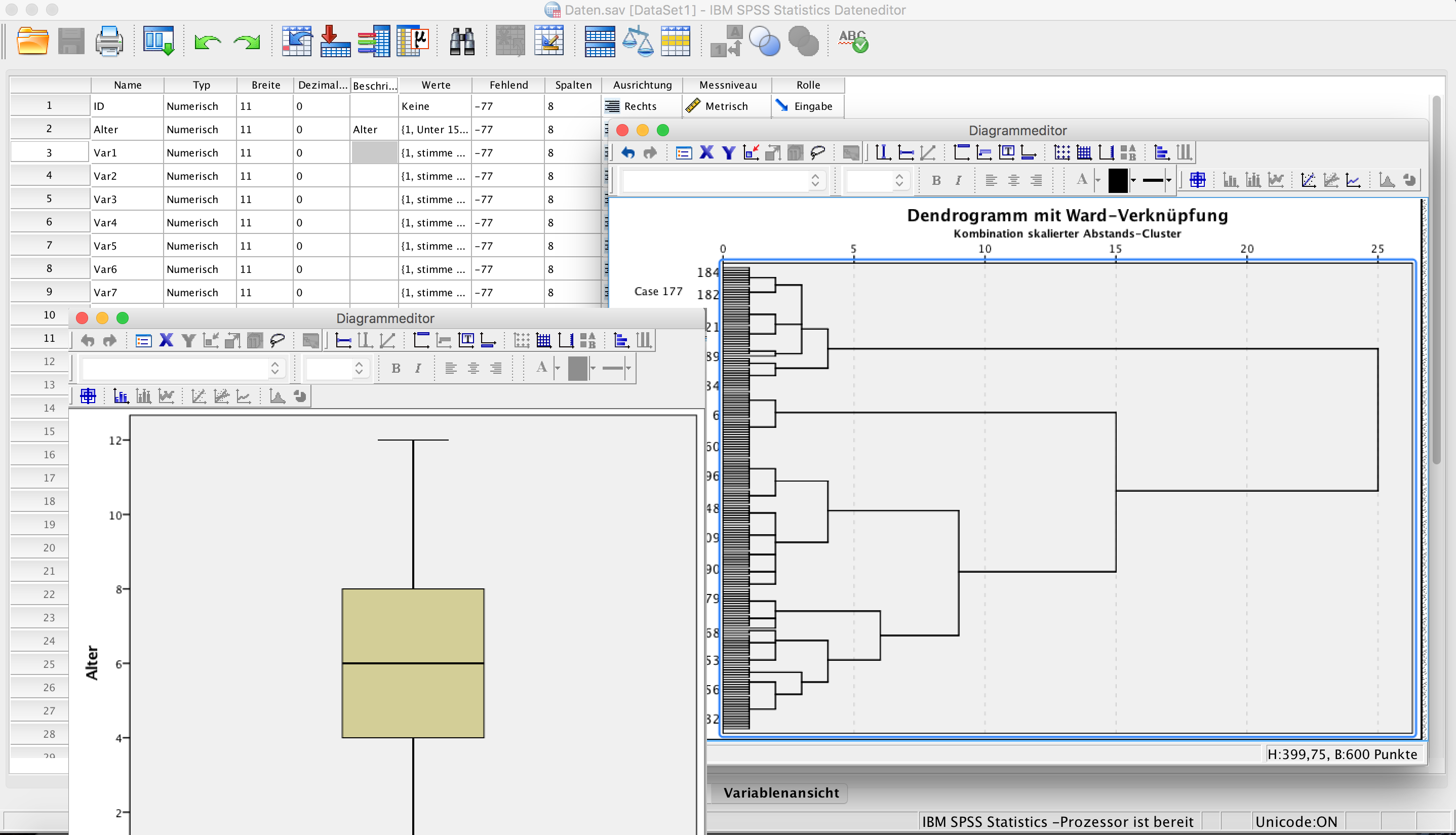 SPSS-Schulung