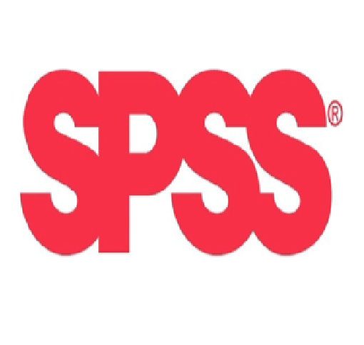 SPSS-Auswertung